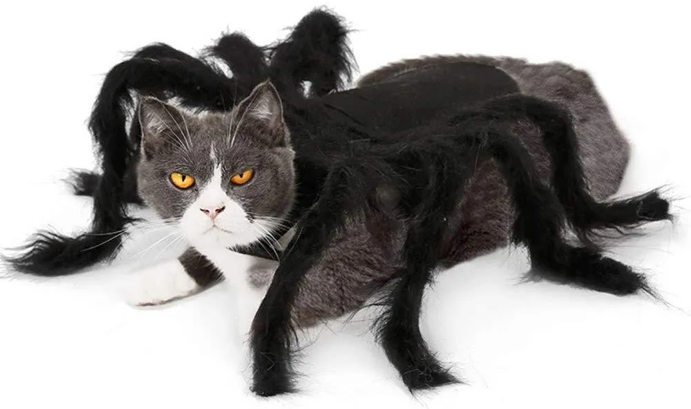 Spider Costume for Dogs and Cats，Halloween Party Dress Up