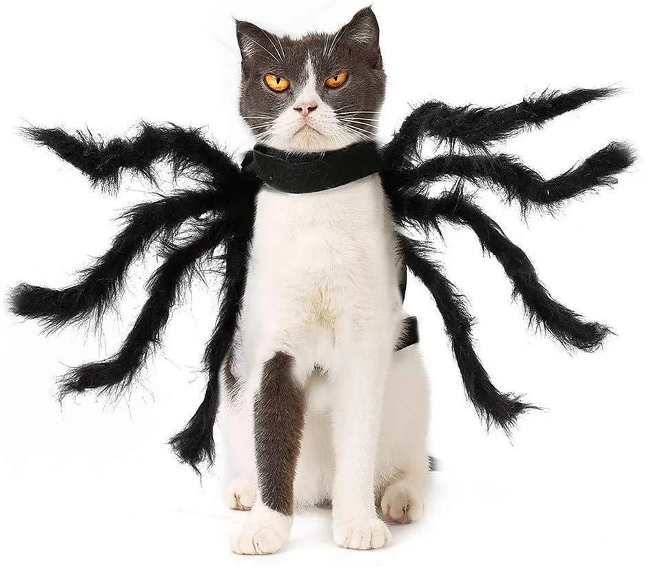 Spider Costume for Dogs and Cats，Halloween Party Dress Up