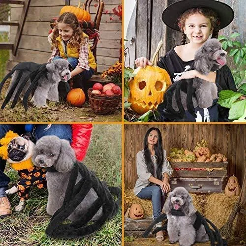 Spider Costume for Dogs and Cats，Halloween Party Dress Up