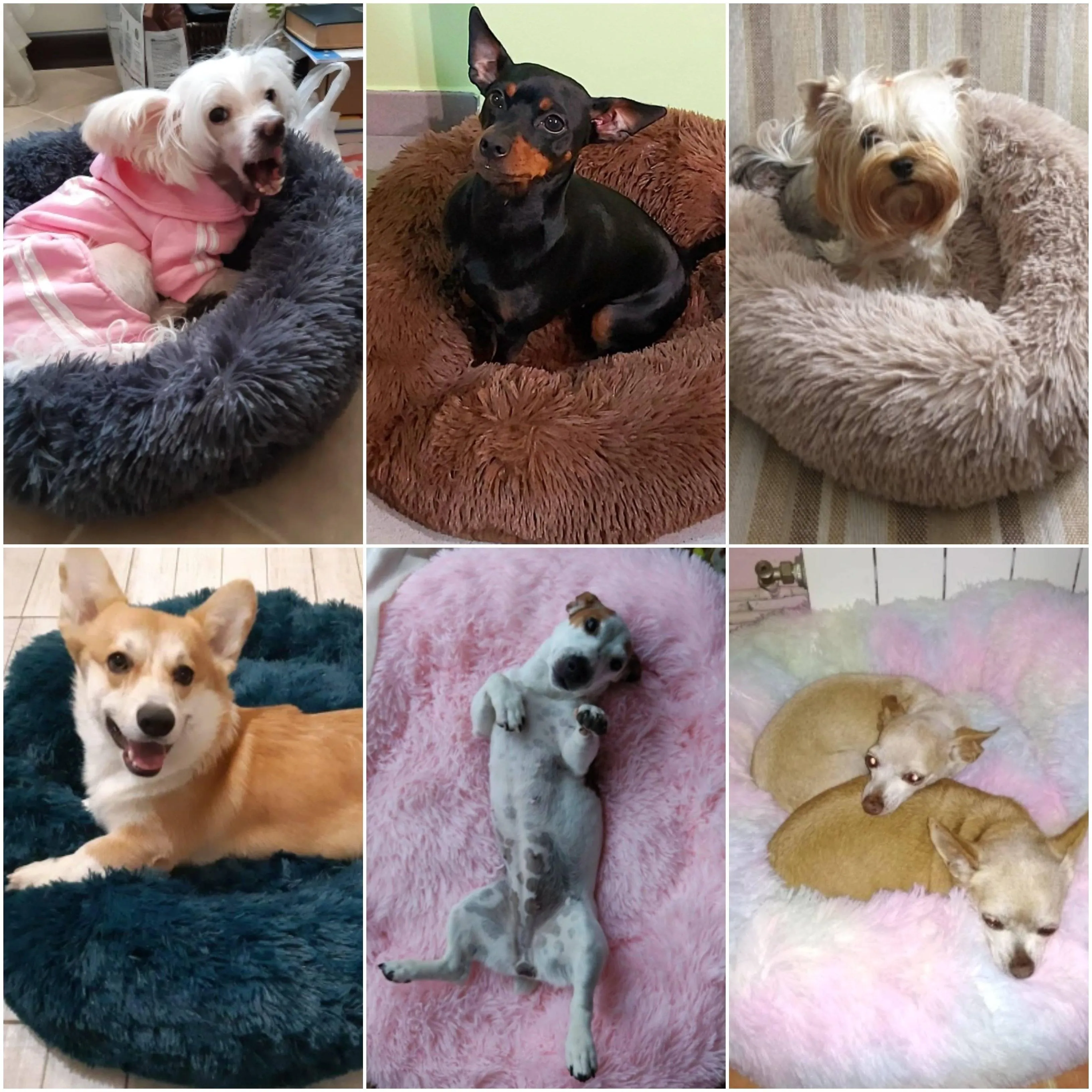 Super Soft Plush Pet Donut Lounger Bed for Dogs/Cats/Pets - All Sizes