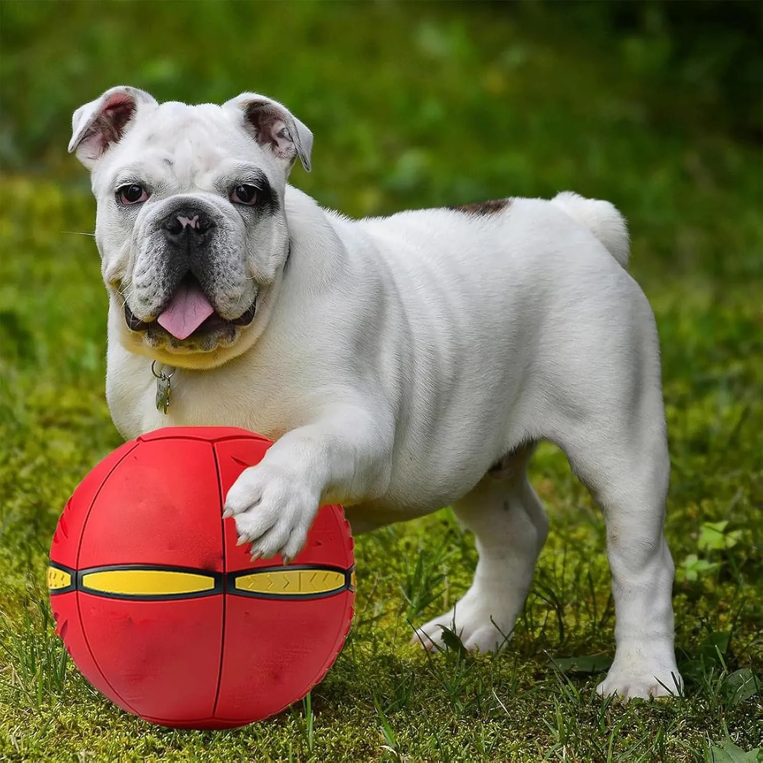 The Doggy Disc Ball, Ancientflow Dog Toy, Ancienflow, Doggie Disc Ball for Small Medium Large Dogs, Doggie Disk Ball with Lights, Portable Pet Toy Doggie Flying Saucer (Pink, No Light)