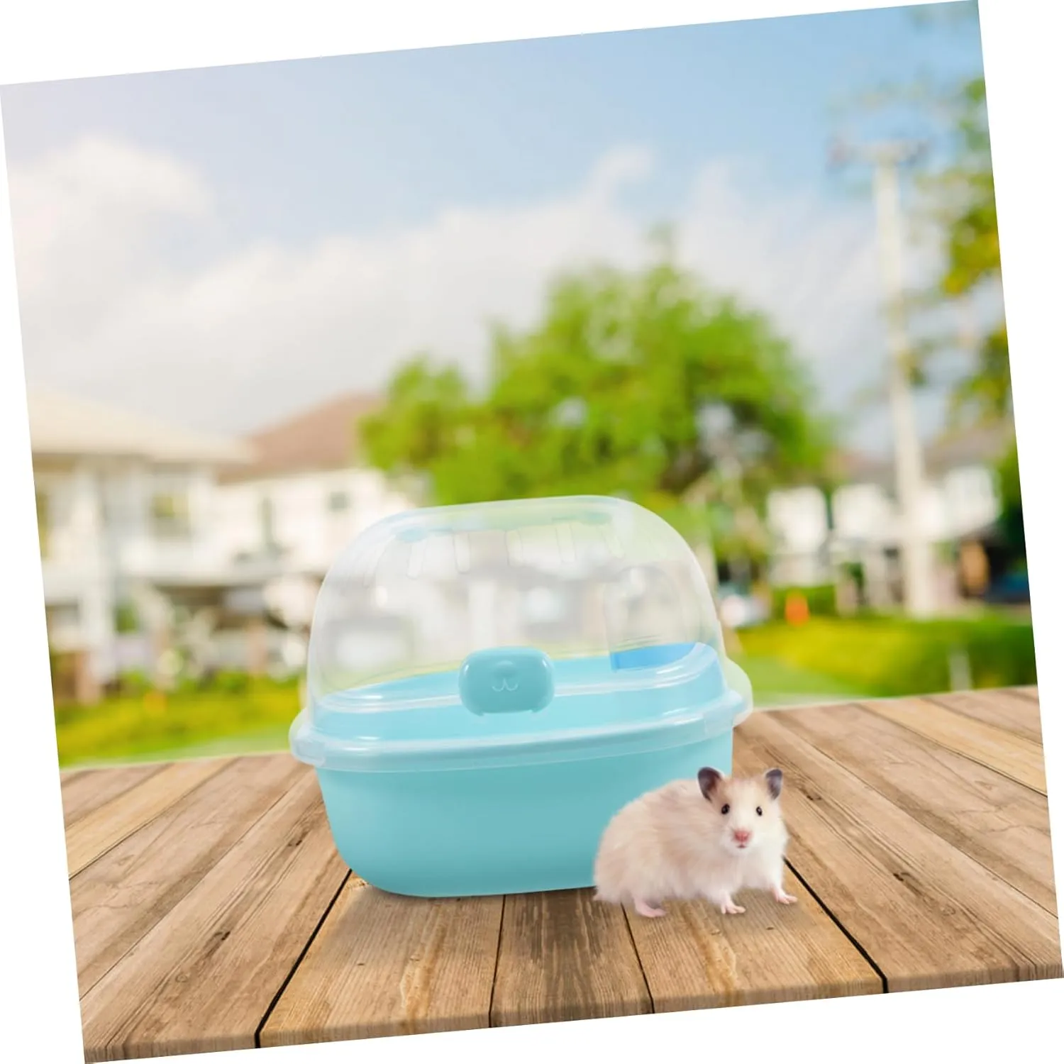 Yardwe Multi-use Pet Carrier Hamster Travel Cage Handle Small Carrying Box for Rats